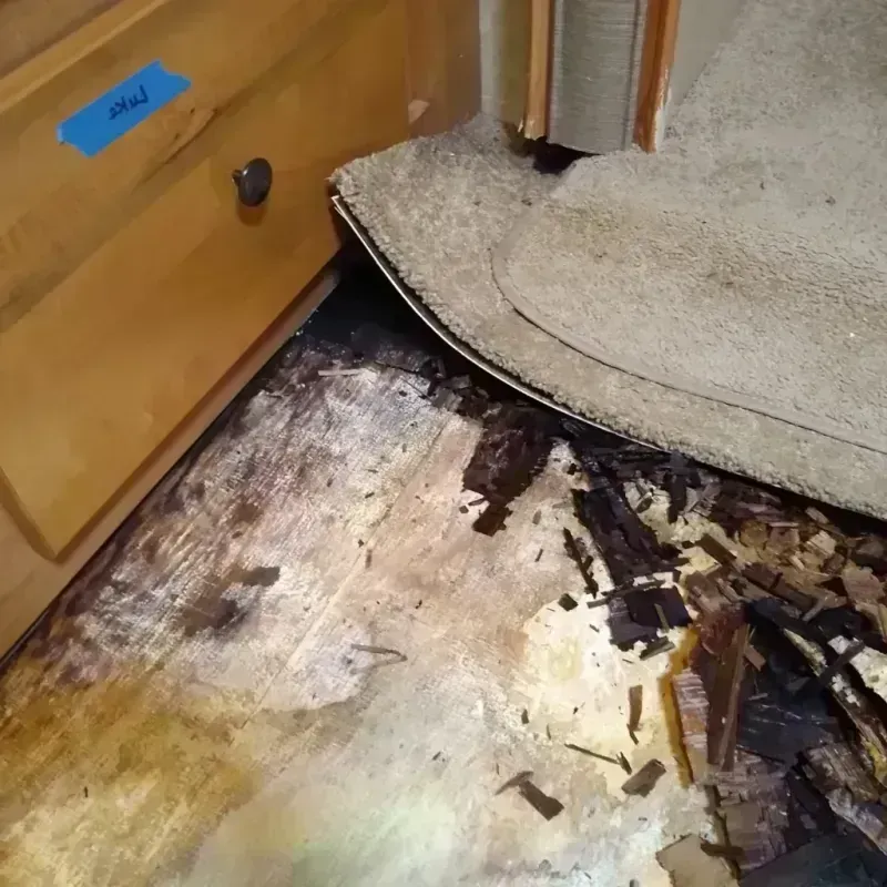 Wood Floor Water Damage in Wheaton, IL